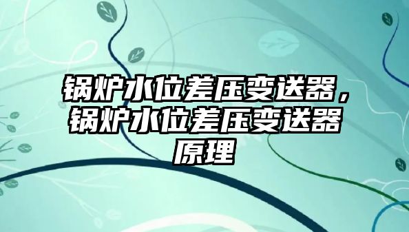 鍋爐水位差壓變送器，鍋爐水位差壓變送器原理