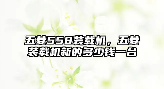 五菱558裝載機(jī)，五菱裝載機(jī)新的多少錢一臺(tái)