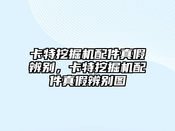 卡特挖掘機配件真假辨別，卡特挖掘機配件真假辨別圖