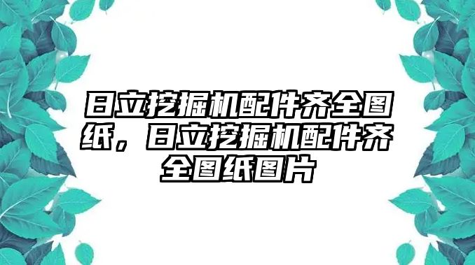 日立挖掘機配件齊全圖紙，日立挖掘機配件齊全圖紙圖片