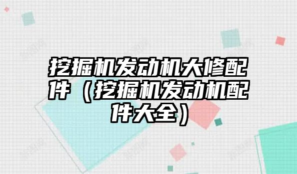 挖掘機發(fā)動機大修配件（挖掘機發(fā)動機配件大全）