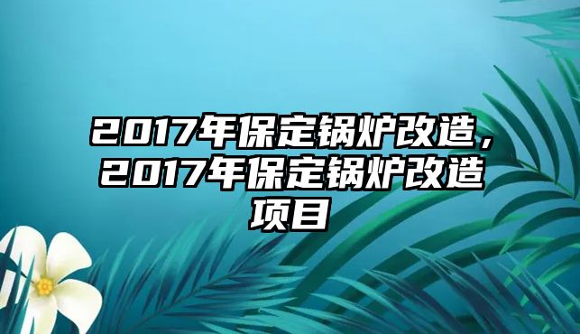 2017年保定鍋爐改造，2017年保定鍋爐改造項目