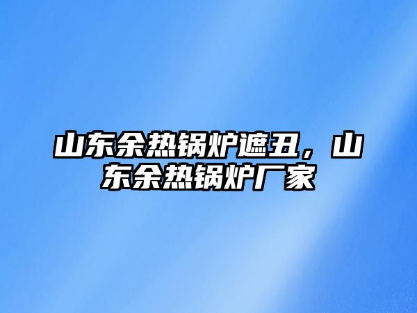 山東余熱鍋爐遮丑，山東余熱鍋爐廠家