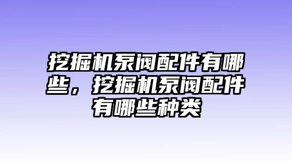 挖掘機(jī)泵閥配件有哪些，挖掘機(jī)泵閥配件有哪些種類