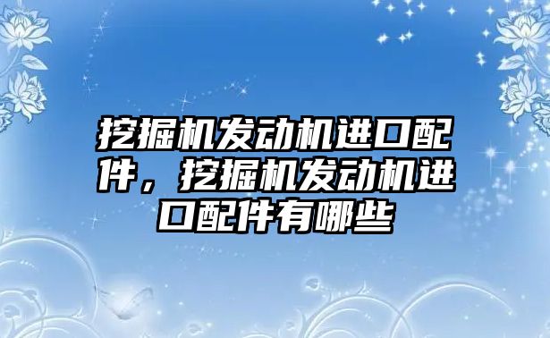 挖掘機發(fā)動機進口配件，挖掘機發(fā)動機進口配件有哪些