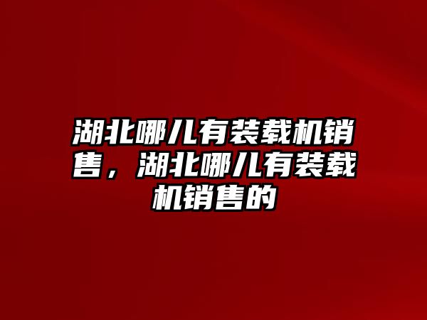 湖北哪兒有裝載機銷售，湖北哪兒有裝載機銷售的