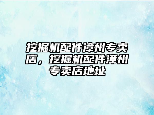 挖掘機配件漳州專賣店，挖掘機配件漳州專賣店地址