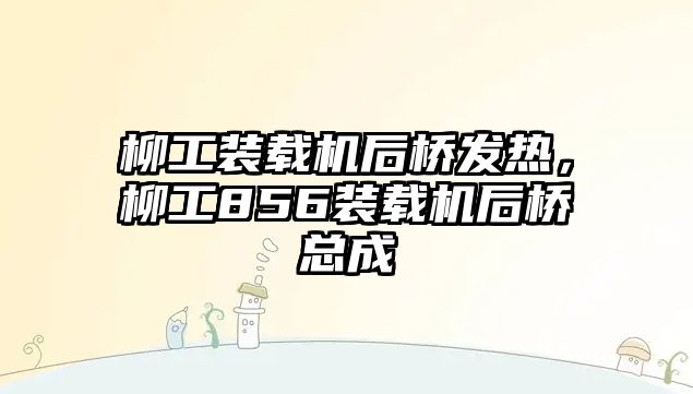 柳工裝載機后橋發(fā)熱，柳工856裝載機后橋總成