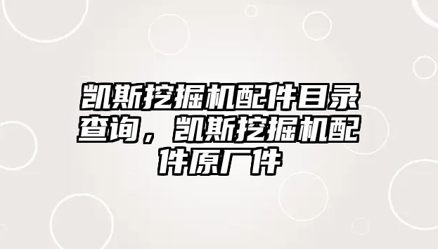 凱斯挖掘機配件目錄查詢，凱斯挖掘機配件原廠件