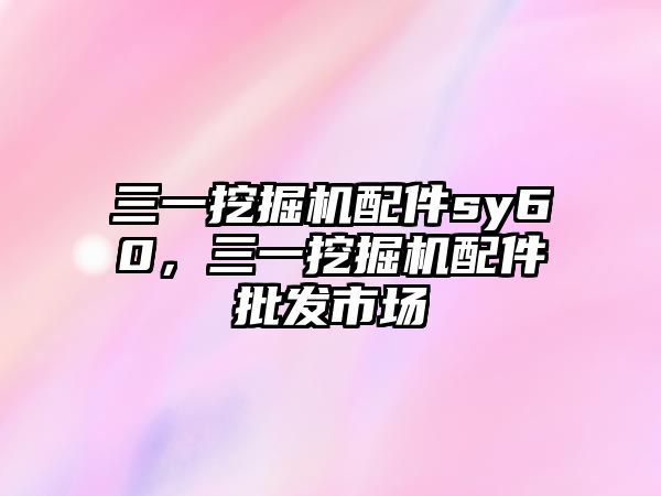 三一挖掘機配件sy60，三一挖掘機配件批發(fā)市場