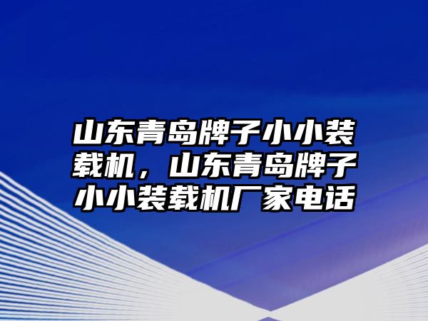 山東青島牌子小小裝載機，山東青島牌子小小裝載機廠家電話