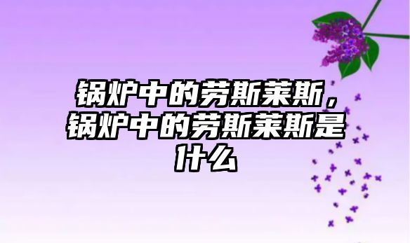 鍋爐中的勞斯萊斯，鍋爐中的勞斯萊斯是什么