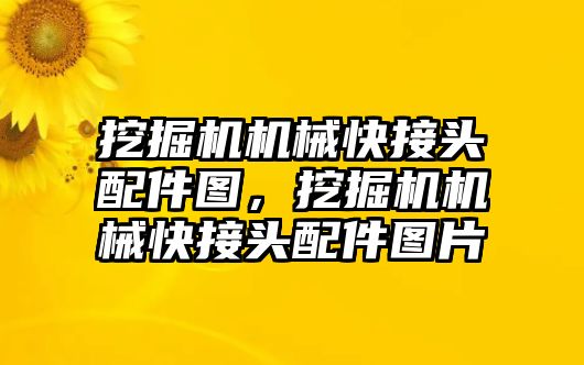 挖掘機機械快接頭配件圖，挖掘機機械快接頭配件圖片