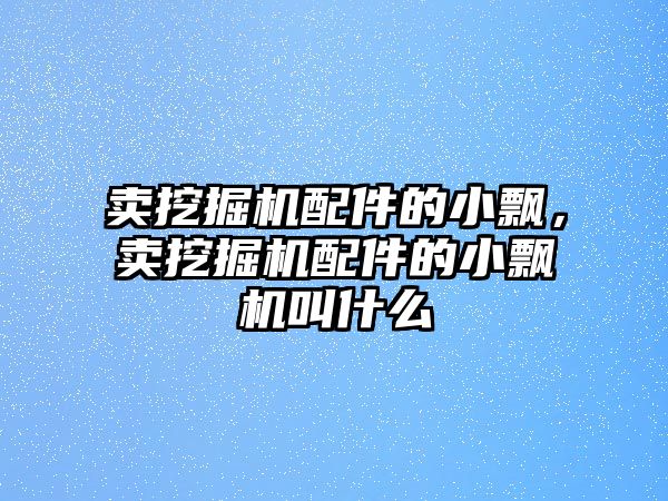 賣挖掘機(jī)配件的小飄，賣挖掘機(jī)配件的小飄機(jī)叫什么