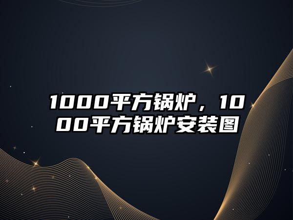 1000平方鍋爐，1000平方鍋爐安裝圖