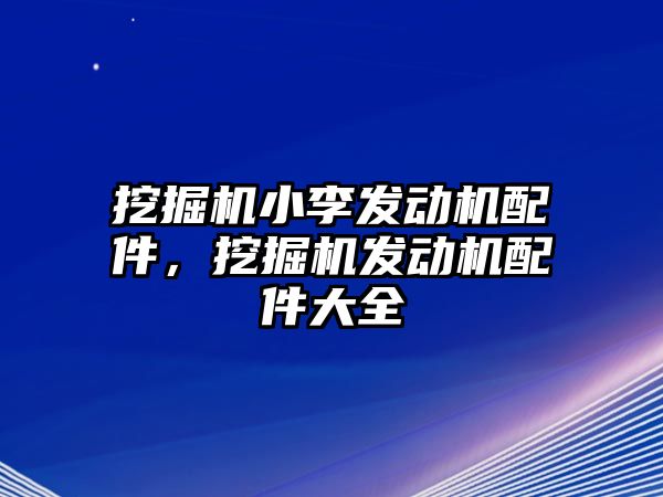 挖掘機小李發(fā)動機配件，挖掘機發(fā)動機配件大全