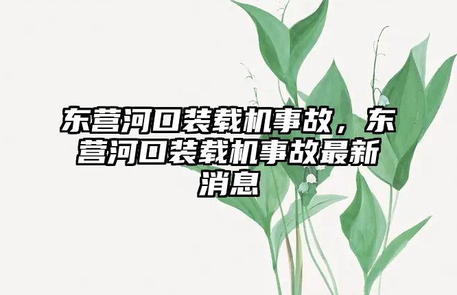 東營河口裝載機事故，東營河口裝載機事故最新消息