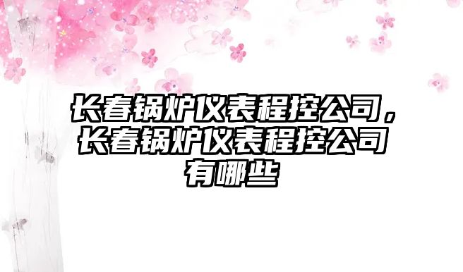 長春鍋爐儀表程控公司，長春鍋爐儀表程控公司有哪些