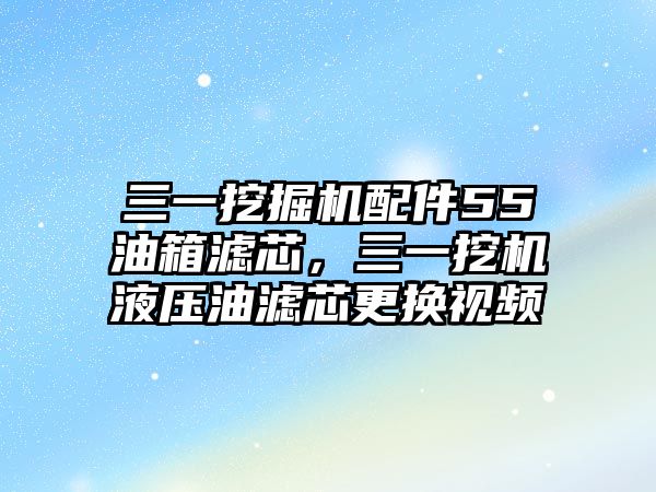 三一挖掘機配件55油箱濾芯，三一挖機液壓油濾芯更換視頻