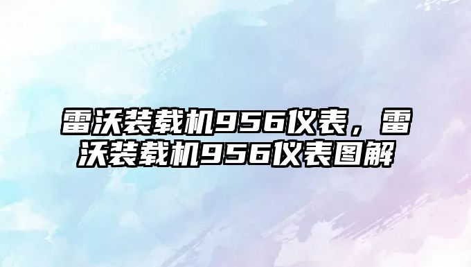 雷沃裝載機956儀表，雷沃裝載機956儀表圖解