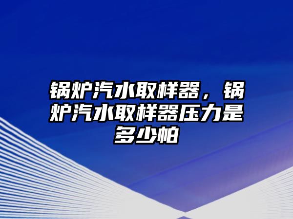 鍋爐汽水取樣器，鍋爐汽水取樣器壓力是多少帕