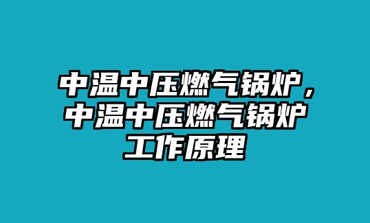 中溫中壓燃?xì)忮仩t，中溫中壓燃?xì)忮仩t工作原理