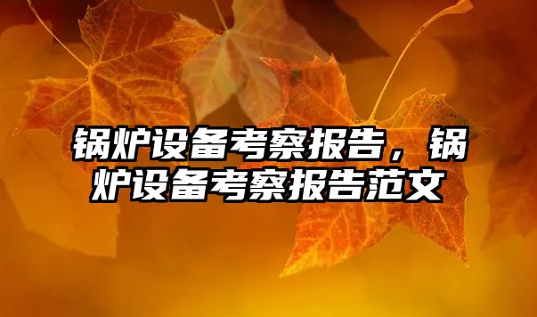 鍋爐設(shè)備考察報告，鍋爐設(shè)備考察報告范文