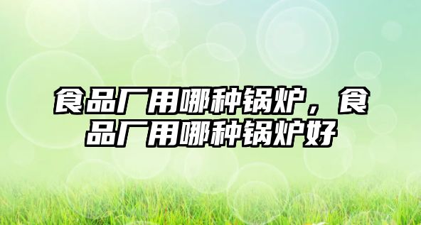 食品廠用哪種鍋爐，食品廠用哪種鍋爐好