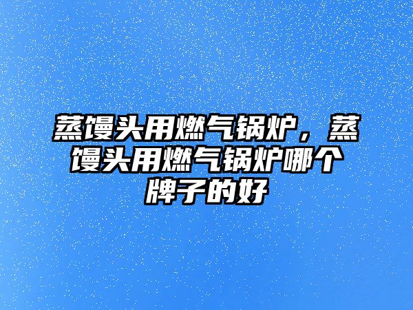 蒸饅頭用燃?xì)忮仩t，蒸饅頭用燃?xì)忮仩t哪個(gè)牌子的好