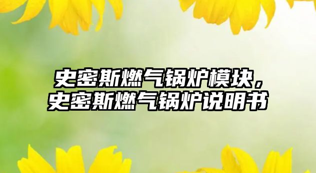 史密斯燃?xì)忮仩t模塊，史密斯燃?xì)忮仩t說明書