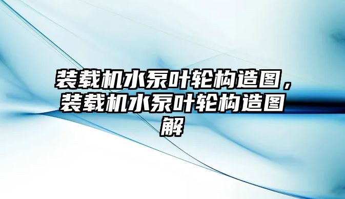 裝載機(jī)水泵葉輪構(gòu)造圖，裝載機(jī)水泵葉輪構(gòu)造圖解