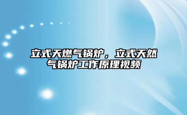 立式天燃?xì)忮仩t，立式天然氣鍋爐工作原理視頻