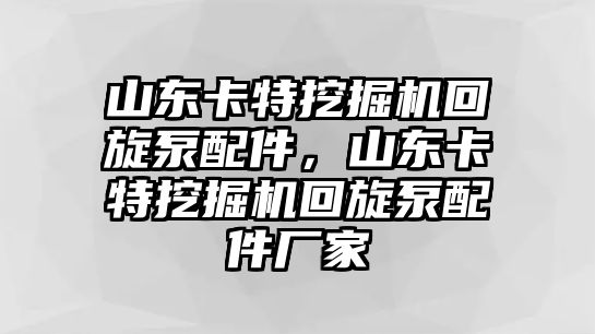 山東卡特挖掘機(jī)回旋泵配件，山東卡特挖掘機(jī)回旋泵配件廠家