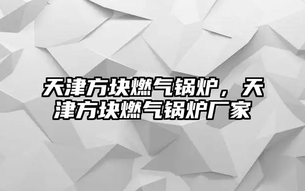 天津方塊燃?xì)忮仩t，天津方塊燃?xì)忮仩t廠家