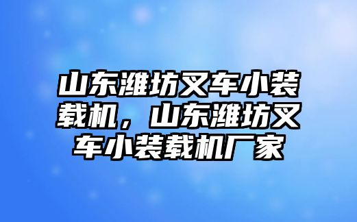 山東濰坊叉車小裝載機，山東濰坊叉車小裝載機廠家