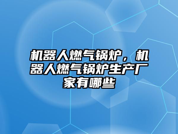 機器人燃氣鍋爐，機器人燃氣鍋爐生產(chǎn)廠家有哪些