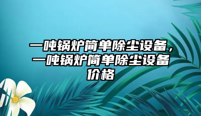 一噸鍋爐簡單除塵設(shè)備，一噸鍋爐簡單除塵設(shè)備價格