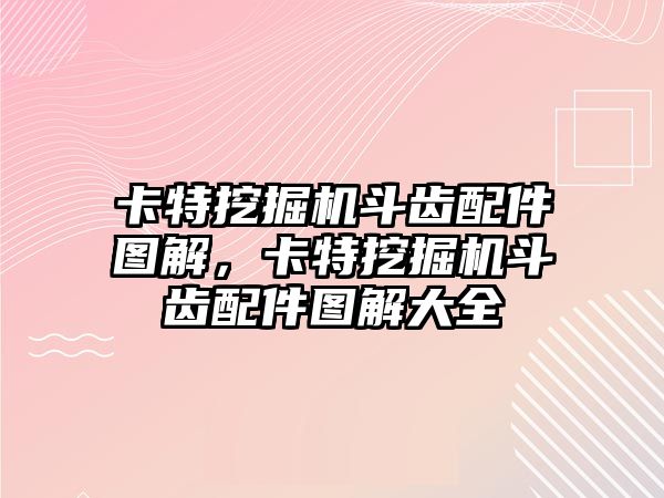 卡特挖掘機斗齒配件圖解，卡特挖掘機斗齒配件圖解大全