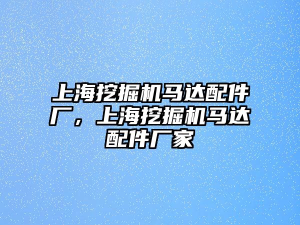 上海挖掘機馬達(dá)配件廠，上海挖掘機馬達(dá)配件廠家