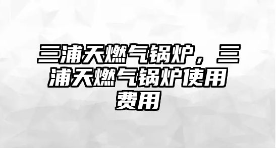 三浦天燃?xì)忮仩t，三浦天燃?xì)忮仩t使用費(fèi)用