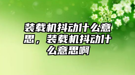 裝載機抖動什么意思，裝載機抖動什么意思啊