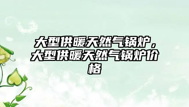 大型供暖天然氣鍋爐，大型供暖天然氣鍋爐價(jià)格