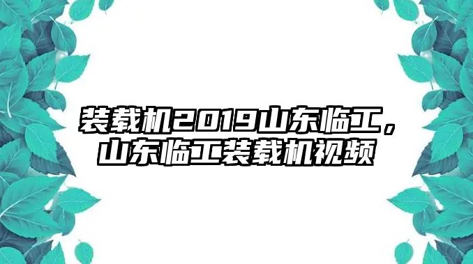 裝載機2019山東臨工，山東臨工裝載機視頻