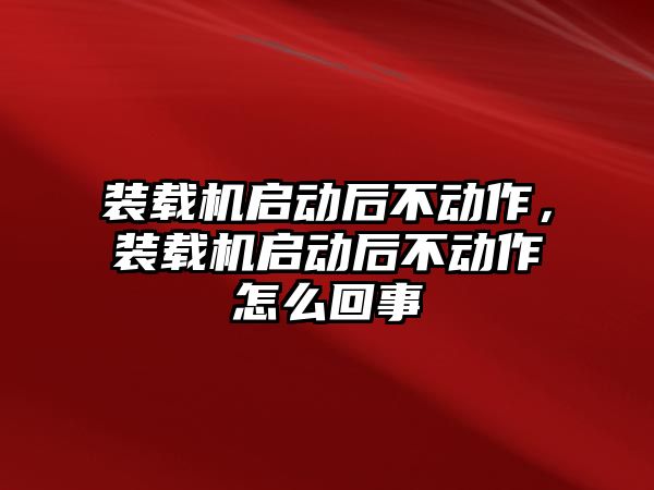 裝載機(jī)啟動后不動作，裝載機(jī)啟動后不動作怎么回事