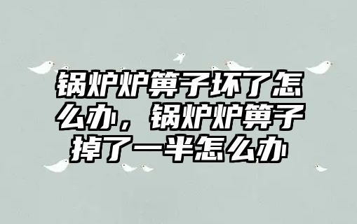 鍋爐爐箅子壞了怎么辦，鍋爐爐箅子掉了一半怎么辦