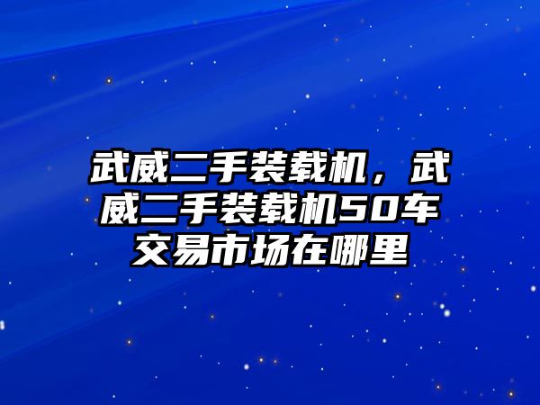 武威二手裝載機(jī)，武威二手裝載機(jī)50車交易市場(chǎng)在哪里