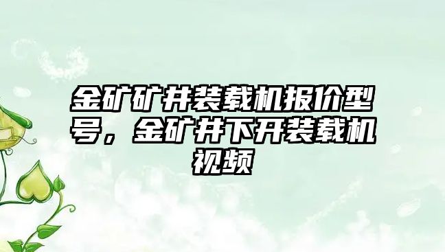 金礦礦井裝載機(jī)報(bào)價(jià)型號(hào)，金礦井下開裝載機(jī)視頻