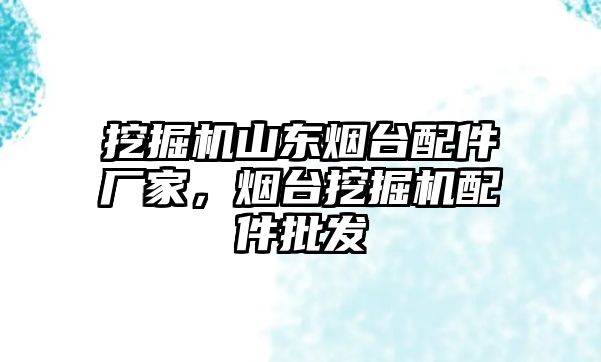 挖掘機山東煙臺配件廠家，煙臺挖掘機配件批發(fā)