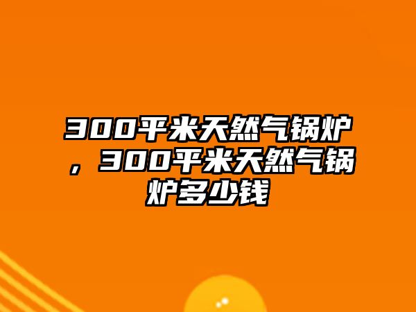 300平米天然氣鍋爐，300平米天然氣鍋爐多少錢(qián)