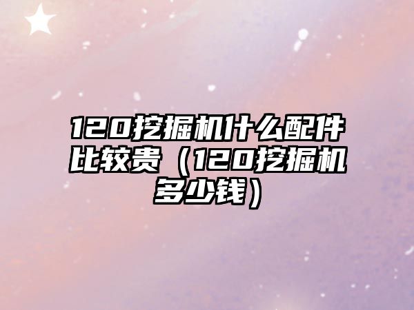 120挖掘機(jī)什么配件比較貴（120挖掘機(jī)多少錢(qián)）